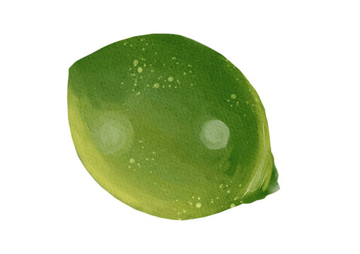 Lime made in Procreate in Watercolour technique. PNG file. 300 DPI
