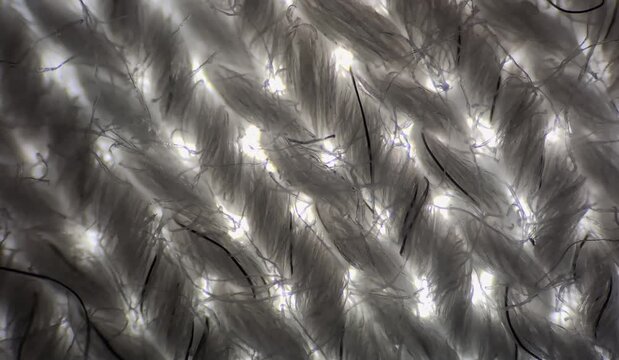 Structure of cotton fabric under the microscope with detail of the fibres