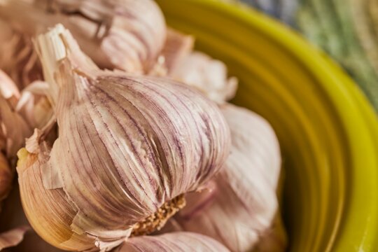 Heads of fresh, raw, redneck garlic.