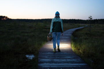 Fototapeta premium Woman forager walks through peat bog at wooden path at dusk, lighting her way with headlamp on head, returning from autumn wetland with basket full of mushrooms back view. Foraging wild food. 