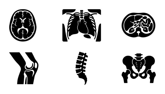 Medical Icons Set: Brain Scan, Chest X-ray, Abdomen CT, Knee Joint, Spine, Pelvis Anatomy Vectors