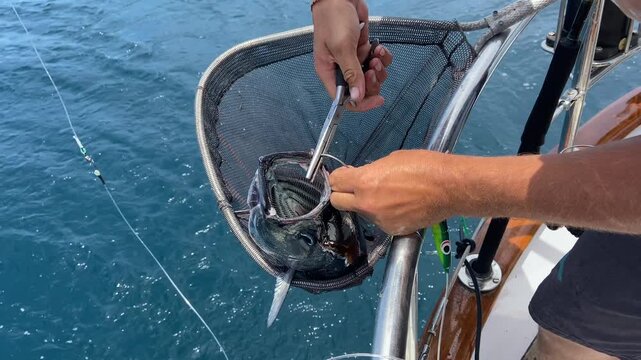 Close-up of a freshly caught tuna being carefully removed from a fishing hook aboard a boat. Authentic sport fishing moment captured in natural daylight on the open sea.