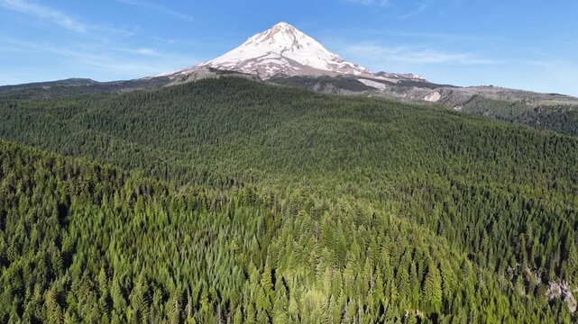 The iconic Mt. Hood is surrounded by national forest and spans all the way to the Columbia River Gorge in Oregon. This scenic and wild area, close to Portland, offers year-round recreation.
