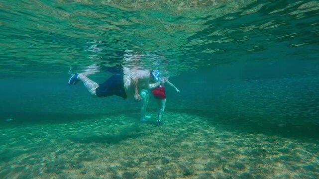 Team of snorkelers encounters a colossal bait ball just a few yards from the beach. They family move gently to stay within the tight cluster of glimmering Silverside Atherina school