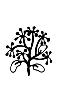 flores siluetas