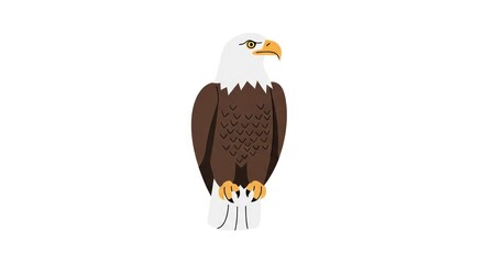 Naklejka premium American Bald Eagle Illustration Graphic.