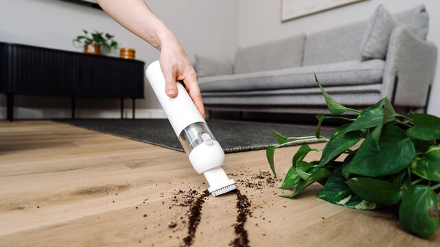 Woman uses cordless vacuum cleaner to clean floor in living room area