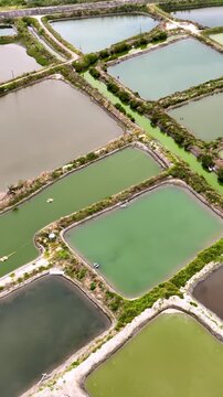 Vertical aerial shot of large fish ponds along the coast of Taiwan used for farming fish and shrimp.