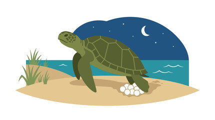 Sea turtle laying eggs on beach at night. © asgar
