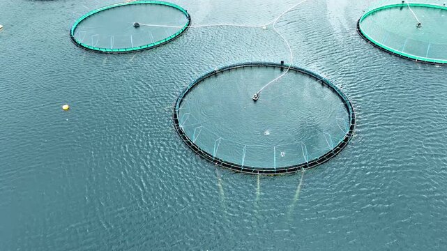 Aerial of a fish farm along the coast of Norway on an overcast day.