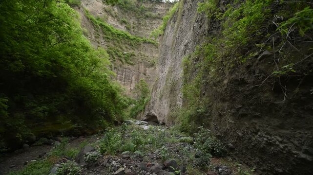 ca&ntilde;&oacute;n de zacualpan