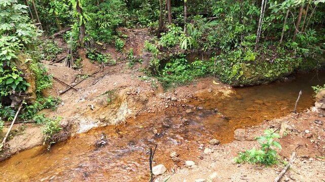 Ancien site d&rsquo;orpaillage abandonn&eacute; pr&egrave;s de Cacao en Guyane fran&ccedil;aise 