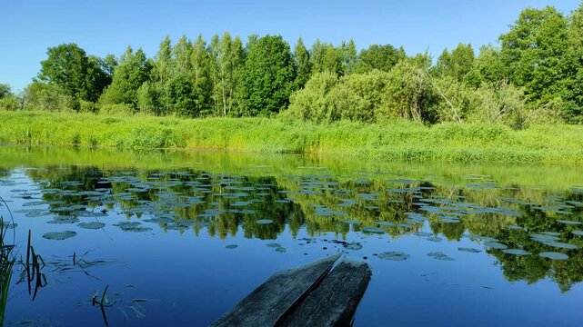 River and forest №1
