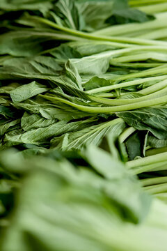 Fresh green choy sum vegetables close up chinese flowering cabbage or caisim on display at a local market healthy organic asian greens