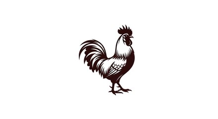 Fototapeta premium Rooster illustration in black and white.