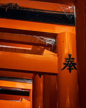 Fushimi Inari