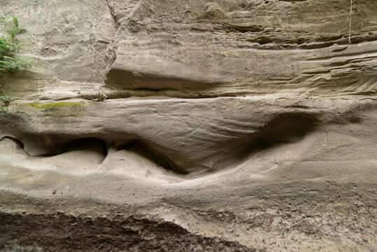 ca&ntilde;&oacute;n de zacualpan
