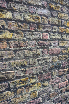 Colorful Brick Wall