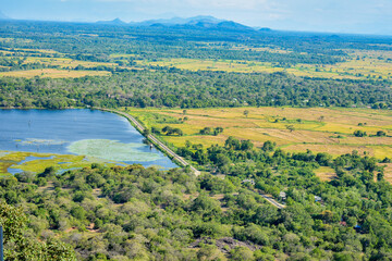 Naklejka premium Iddha pichcha wewa, Dimbulagala, Polonnaruwa, Sri Lanka.