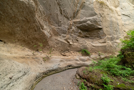 ca&ntilde;&oacute;n de zacualpan