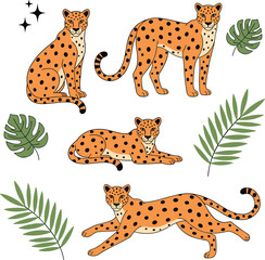 Cute Leopard and Tropical Leaves Vector Icon Set with Standing, Sitting, Lying, and Running Wild Cats for Jungle Safari Theme Graphic Designs © MstJasmin