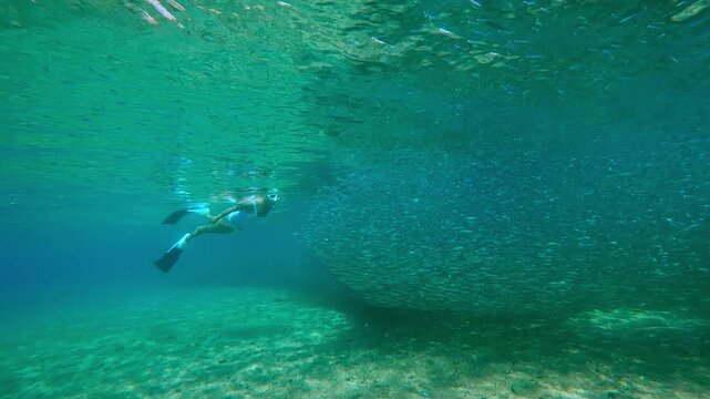 Pretty girl with long braid in white free-diving gear gracefully glides across surface of crystal-clear water on shallows, near long, dense living chain of shimmering bait balls stretching to horizon