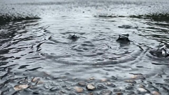 Heavy rain falling into puddle on asphalt road surface with water ripples and splashes storm