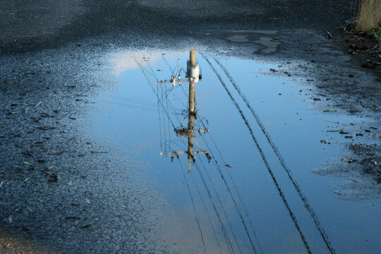 雨上がりの道路」の写真素材 | 3,859件の無料イラスト画像 | Adobe Stock