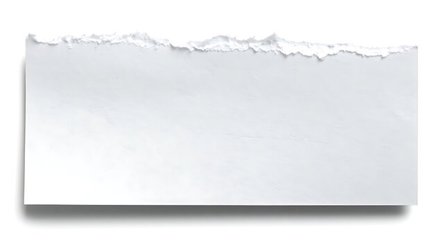 Isolated rectangular piece of white paper with a torn uneven edge and drop shadow