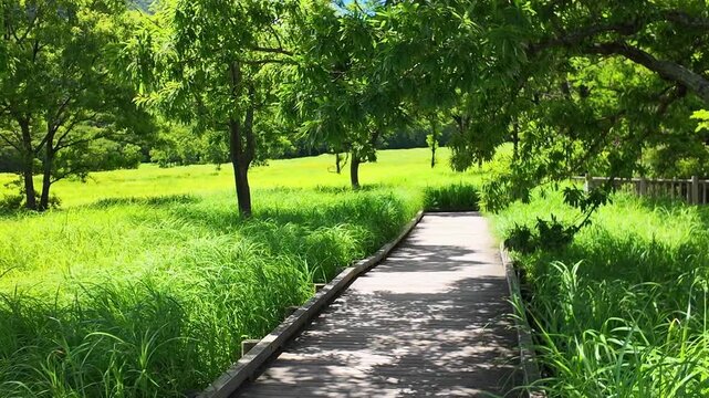 夏のタデ原湿原