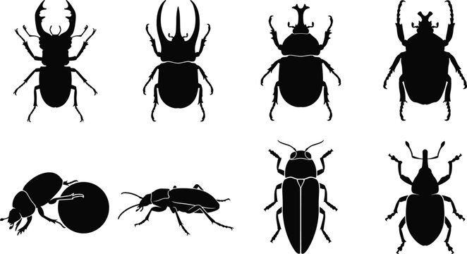 Beetle Silhouette Collection with Stag Rhinoceros Dung and Weevil Insect Vector Set