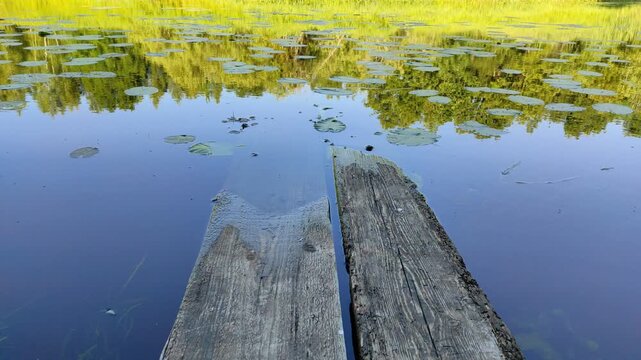 River and forest №3