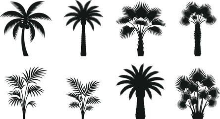Obraz premium Tropical Palm Tree Silhouette Collection with Exotic Botanical Vector Illustration Set