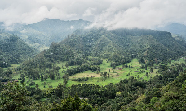 Paisaje monta&ntilde;oso con bosque, praderas verdes y nubes bajas en un valle natural de alta monta&ntilde;a