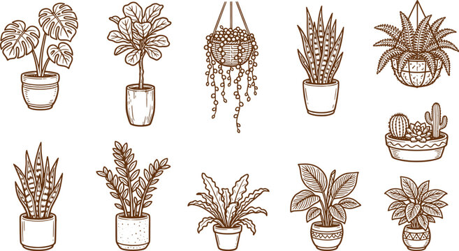 Set of brown line showcasing various indoor potted plants, hanging succulents, snake plants, and fiddle leaf figs on white background