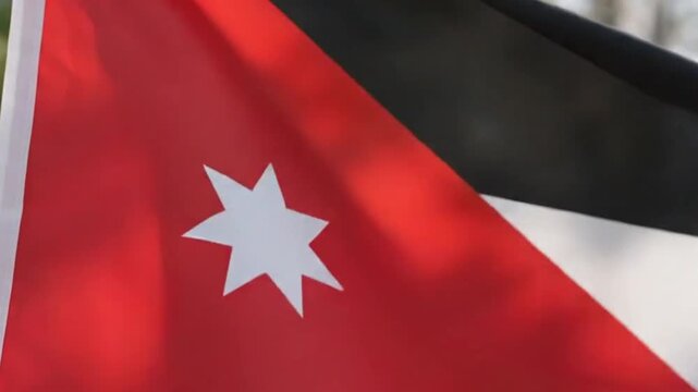 The national flag of the hashemite kingdom of jordan waving on a flagpole against a background of trees