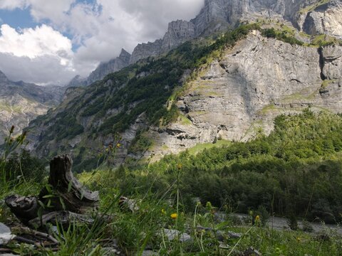 Aerial view of French Alps with rocky peaks, lush green slopes, and foreground vegetation under a cloudy sky in Chamonix, Auvergne-Rhone-Alpes, France.
