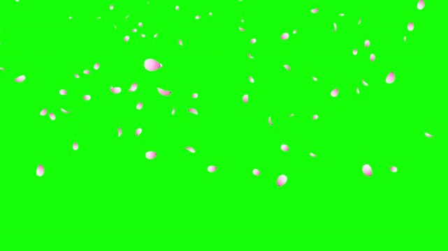 Cherry blossom petals falling animation. Pink cherry petals. Sakura leaves falling. Realistic falling blossoms. Falling petals. Japanese spring concept
