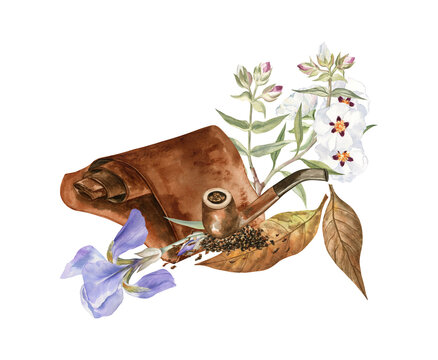 Still life watercolor illustration with leather, tobacco, smoking pipe, iris and labdanum flowers. Elegant old-fashioned perfumery-themed composition. For art prints, articles, cards