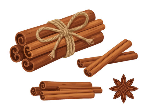 Bundles of cinnamon sticks and loose sticks with star anise isolated on white background
