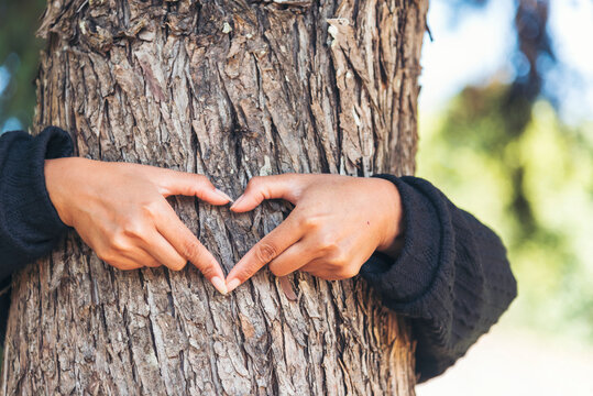 Woman Hands hug tree love nature finger heart shape. Save world zero waste energy protect Eco green sustainable hands holding together.  ESG environment sustainable governance ecology on earth day