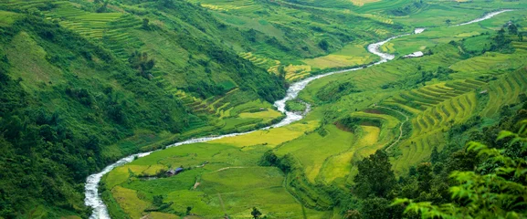 Fototapeten Reisfelder Banner Green rice terrace stream brook tropical natural sunrise landscape. Banner Rice terrace Field Green agriculture eco background. Paddy field Vietnam green farm nature brook with copy space  © aFotostock