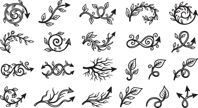Hand Drawn Botanical Arrow Flourishes and Vine Ornaments Vector Set