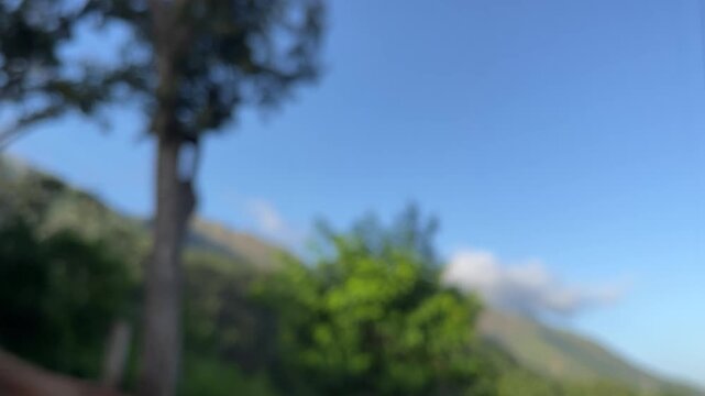 Blurred green and blue nature background with copy space, outdoor