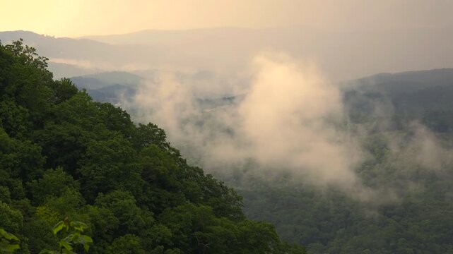Mountain forest with green canopies in humid summertime season. North Carolina wild woods nature in summer.