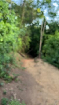 Blurred hiking trail with person walking through forest, outdoor background