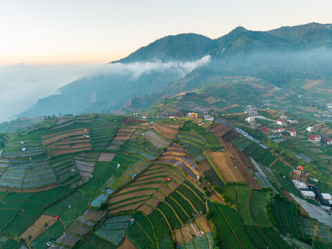Aerial view of the terraced vegetable fields of the Dieng Plateau with lush green crops, small houses, and misty mountains in the background in Kejajar, Central Java, Indonesia.