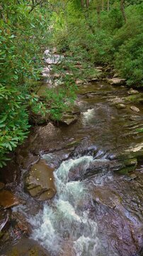 Beautiful waterfall pouring down a rocky cliff in shaded woodland valley, surrounded by lush foliage, humid rainforest atmosphere and fresh mountain nature.
