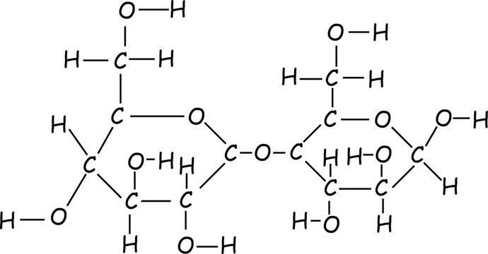 vector drawing of a cellulose molecule
