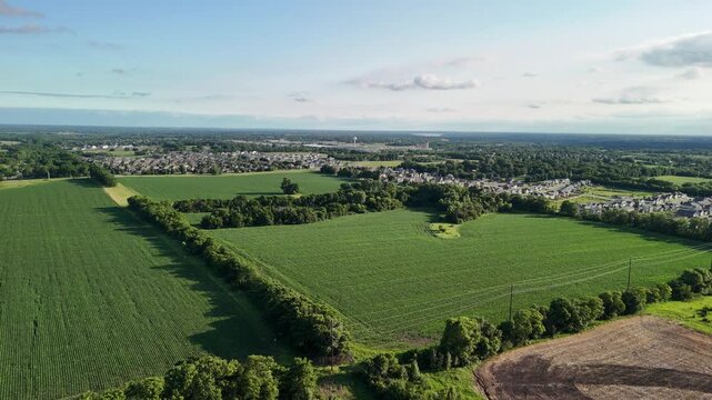 Drone perspective of a new residential housing development under construction encroaching on green farm fields, exploring suburban sprawl themes